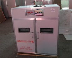 科技賦能孵化 德州宏鑫孵化設備廠引領智能化養殖新紀元